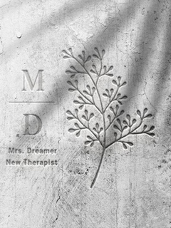 �i��� Mrs. Dreamer -����Selection- �O�Y����� ����