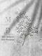 Mrs. Dreamer -Selection- yi 